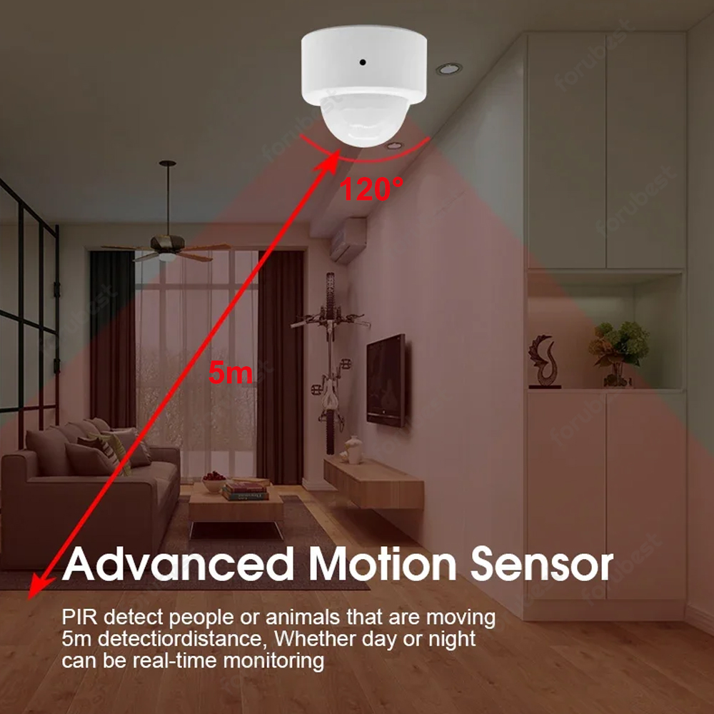 Zigbee 3.0 Human Motion Sensor - огляд і ціна Pir Motion Sensor